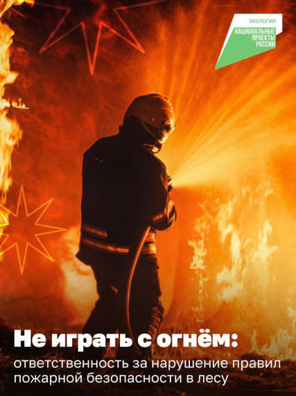 От штрафа до лишения свободы — такие меры ответственности грозят за нарушение правил пожарной безопасности на природе.. От штрафа до лишения свободы — такие меры ответственности грозят за нарушение правил пожарной безопасности на природе..